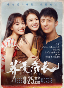 刘爽vk